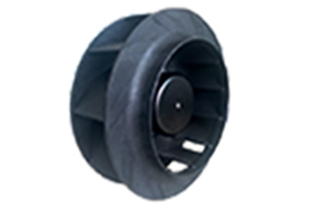 250A直流免费草莓视频污污污