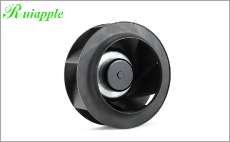 免费草莓视频污污污